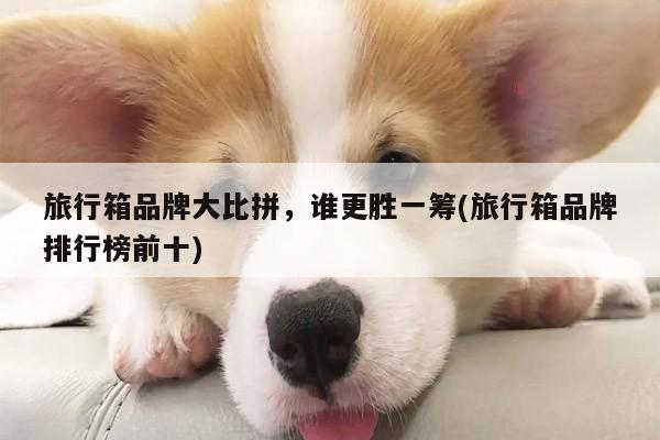 旅行箱品牌大比拼,谁更胜一筹(旅行箱品牌排行榜前十):易游体育