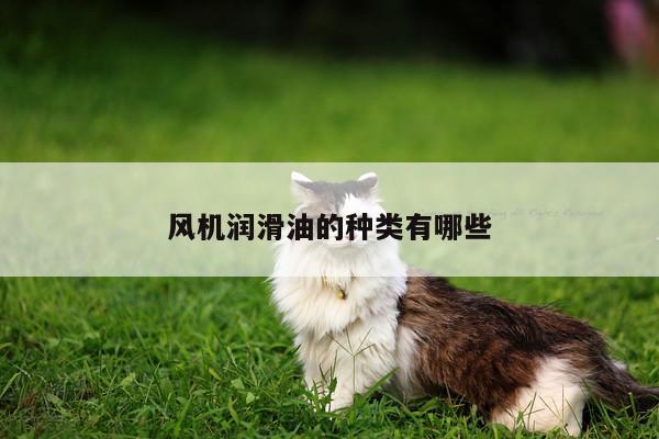 风机润滑油的种类有哪些【yy易游体育】
