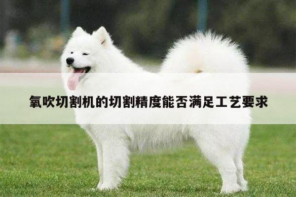 氧吹切割机的切割精度能否满足工艺要求-yy易游