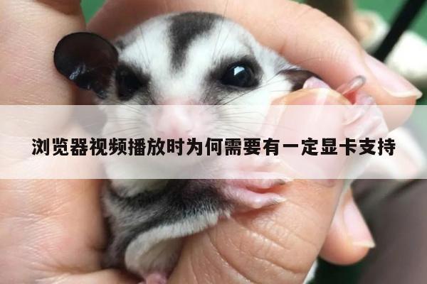 浏览器视频播放时为何需要有一定显卡支持-yy易游