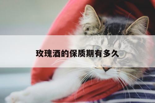 yy易游：玫瑰酒的保质期有多久