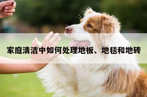 yy易游体育-家庭清洁中如何处理地板、地毯和地砖