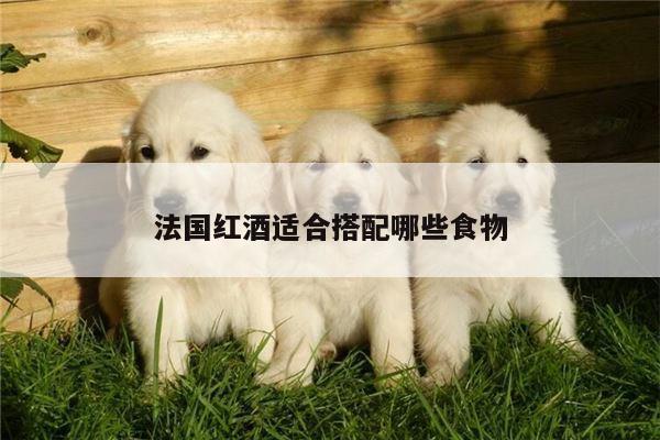 法国红酒适合搭配哪些食物_yy易游体育