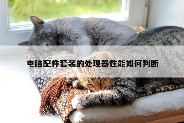 电脑配件套装的处理器性能如何判断|易游体育