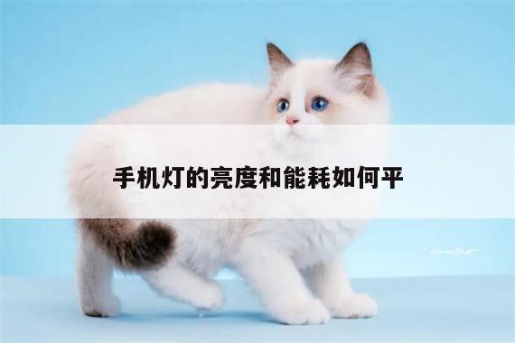 手机灯的亮度和能耗如何平：yy易游体育
