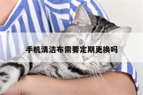 手机清洁布需要定期更换吗-yy易游体育
