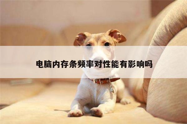 yy易游-电脑内存条频率对性能有影响吗