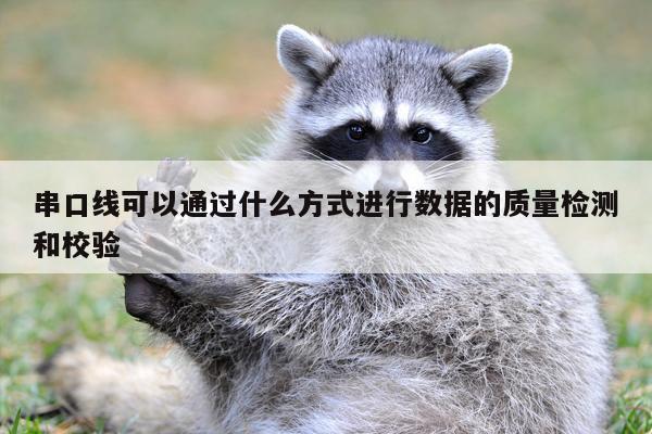 易游体育|串口线可以通过什么方式进行数据的质量检测和校验