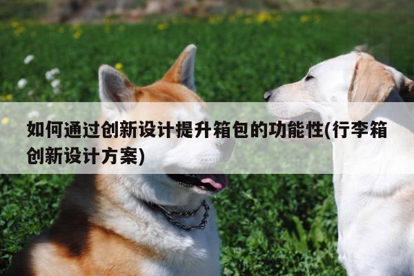 如何通过创新设计提升箱包的功能性(行李箱创新设计方案)-yy易游