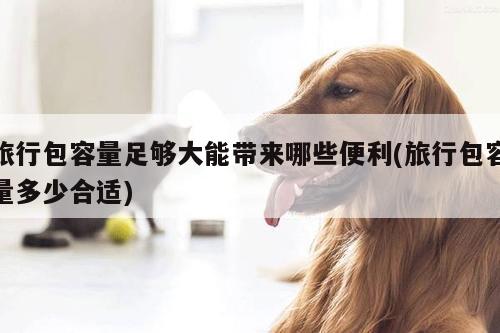 yy易游:旅行包容量足够大能带来哪些便利(旅行包容量多少合适)
