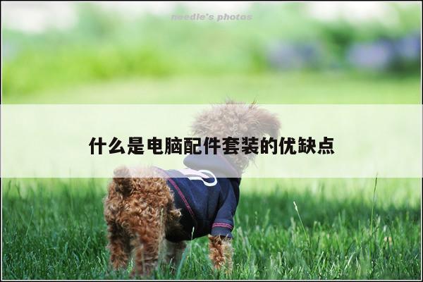 yy易游体育_什么是电脑配件套装的优缺点
