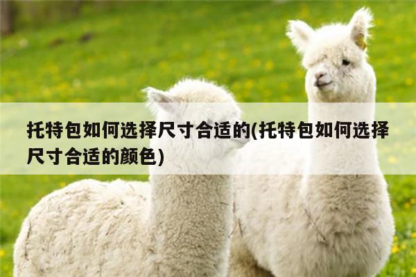 易游体育：托特包如何选择尺寸合适的(托特包如何选择尺寸合适的颜色)
