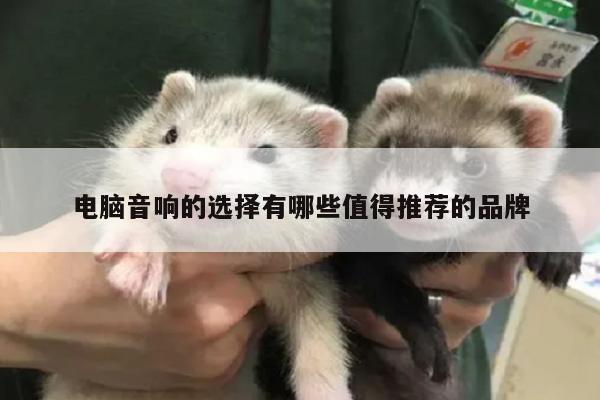 【易游体育】电脑音响的选择有哪些值得推荐