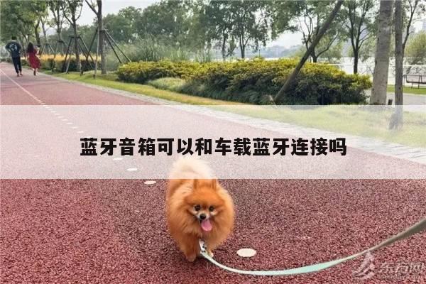 易游体育|蓝牙音箱可以和车载蓝牙连接吗
